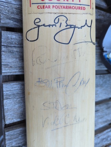 Slazenger panther cricket - v,