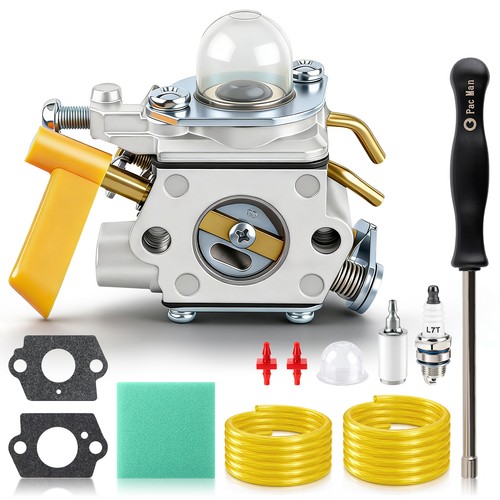 Oem ruixing carburetor for - oem,