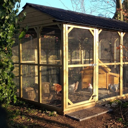 15ft 6ft chicken run with - 6ft,