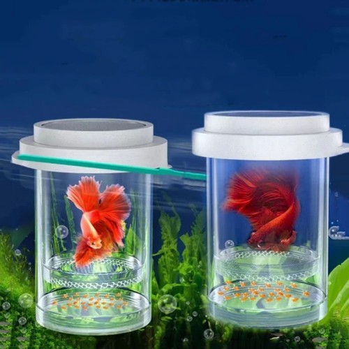 Plastic floating fish - plastic, breeding