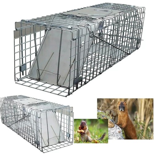 Large humane live animal trap - live,