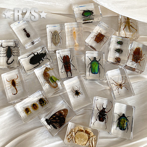 Pcs insect resin - 20, in