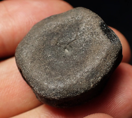 Jurassic ichthyosaur bone
