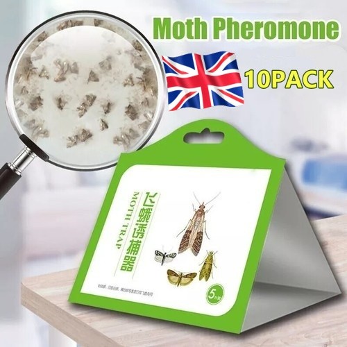 10pack sticky moth traps - moth,