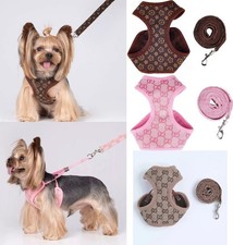 Small Pet Harness And Lead Set