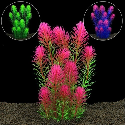 Large aquarium plants - aquarium,