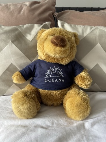 Cruises oceana teddy bear - oceana,