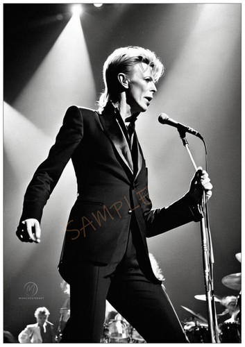 David bowie english - david,