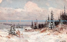 R236659 Winter Pictures Series