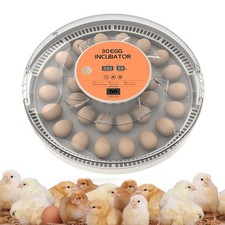 30 Eggs Fully Automatic