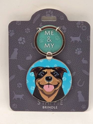 Staffordshire bull terrier - bull,