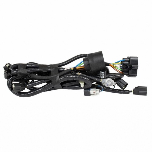 Thru 150 oem ford rear - 15, f-150