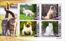 Cats Cornish Rex Ragdoll
