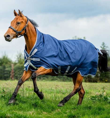Rhino wug turnout blanket - rhino,