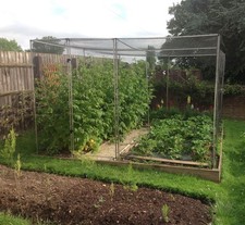Fruit Cage and Vegetable Cage