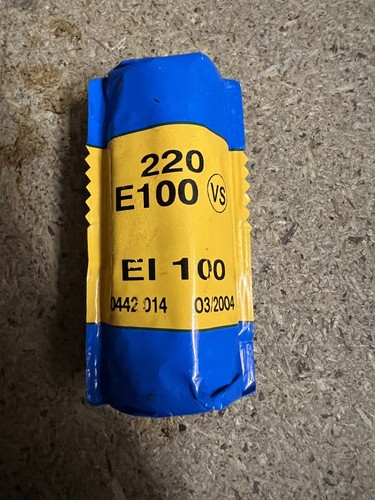 Ektachrome e100vs 220 - 220, slide