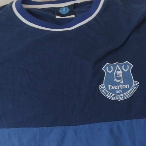 Everton 1878 training football - 1878,