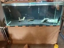 Aquarium Fish Tank with Stand 5ft x 2ft x 2ft. Great Lovely aquarium.
