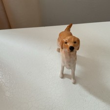 Small Yellow Labrador by