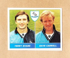 Panini football league - league,