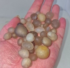 Gobi Agate  100g bags that is