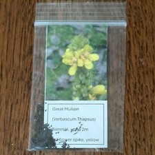 Wild Flower Seeds: Great