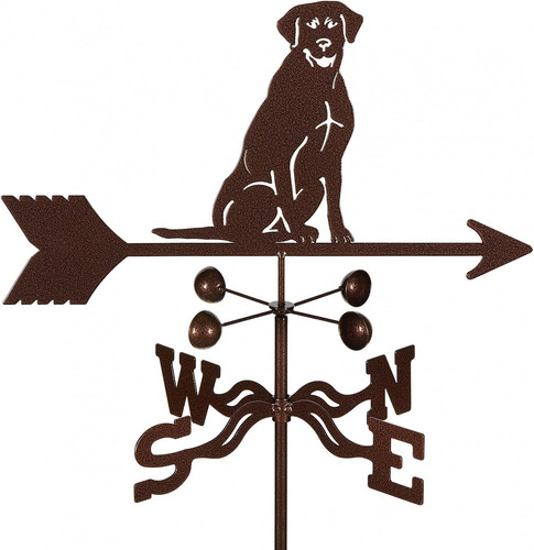 Vane labrador retriever - vane,
