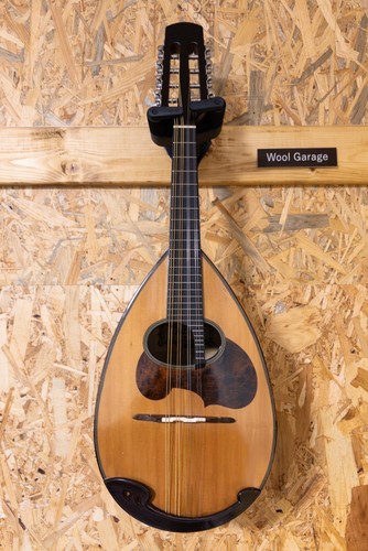 Suzuki mandolin hard - w/,