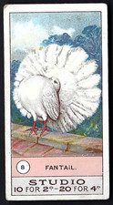 SMITH - FOWLS, PIGEONS & DOGS - #8 FANTAIL