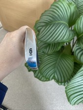 Callaway X2 Hot 6 iron*