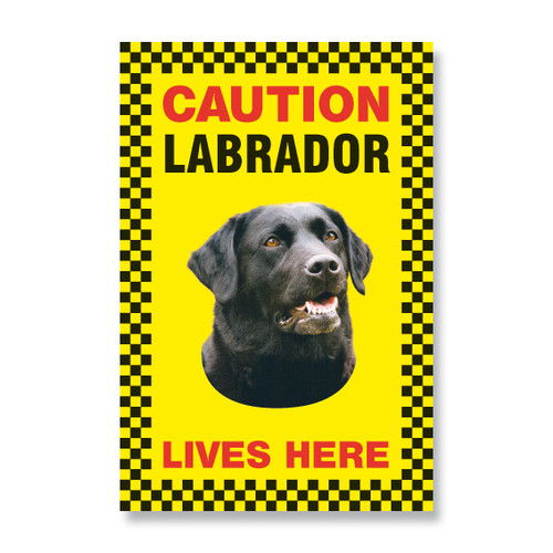 Labrador black lab gift - lab,