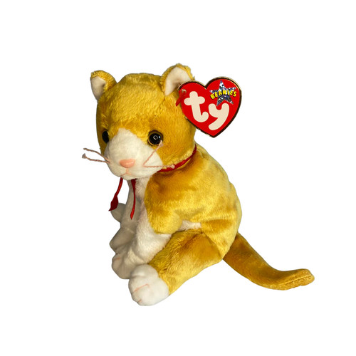 Tangles the ginger - , tabby