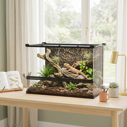 Glass terrarium with stone - glass,