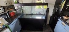 Jewel Rio 300 Aquarium Fish