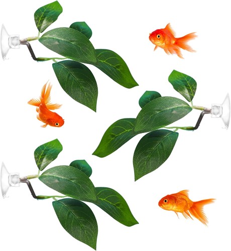 Betta fish tank accessories 3 - fish,