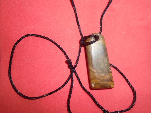 Maori style fossil wood - fossil,