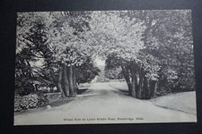 Willow Arch on Lenox Middle