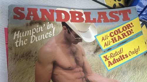 Sandblast humpin the dunes - in,