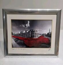 Poppies at The Tower of London Blood Swept Lands and Seas of Red Framed Signed