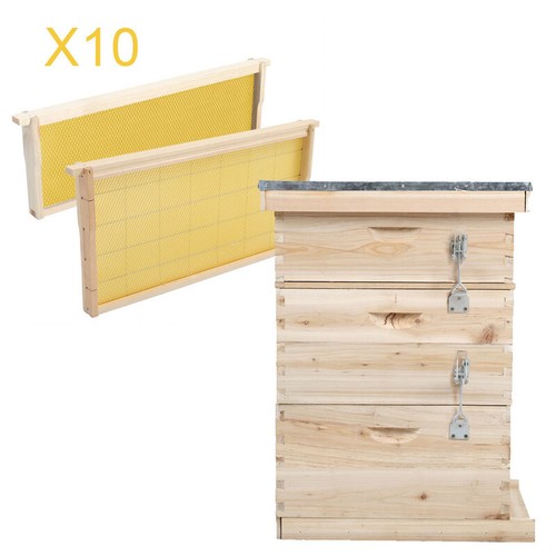 Tier beehive brood box - tier,