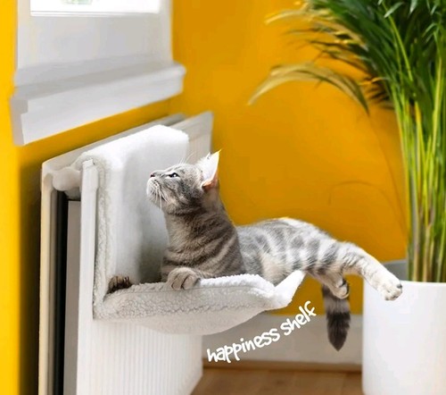 Petlicity cat radiator bed - cat,