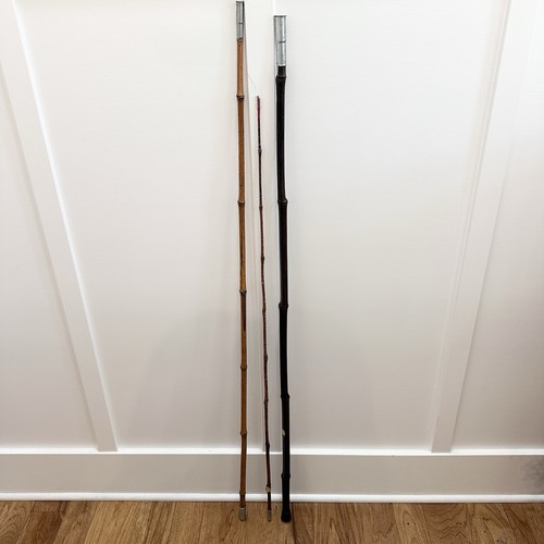 Vintage bamboo cane fishing - cane,
