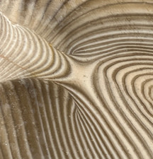 Polish Flint Stone