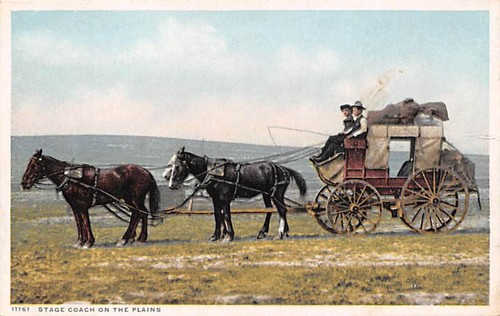 Horse drawn stagecoach - horse,