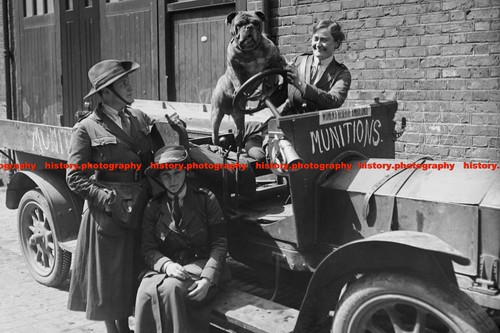 F015045 womens reserve - f015045,