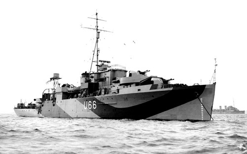 The royal navy - royal, swan