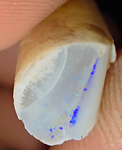 89ct rough belemnite - rough,