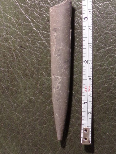 Fossil belemnite jurassic - fossil, jurassic,