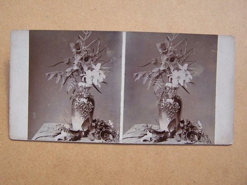 Stereoscope stereo view - stereoscope,