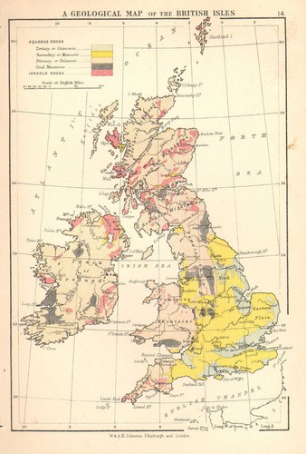 C1875 map geological british - ~,